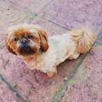 Profile Picture of April Mansell (@aprilmansell_x) on Instagram