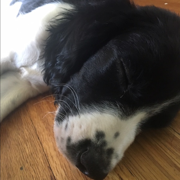 Profile Picture of Kenzi Bierer (@bebandit) on Poshmark