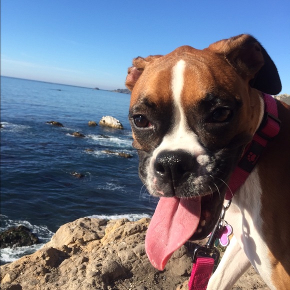 Profile Picture of Kari Humann (@kari_humann4) on Poshmark