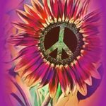 Profile Picture of sheri wallace george (@cozysheri) on Instagram