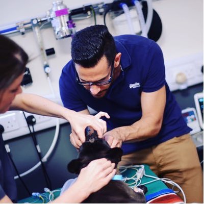 Profile Picture of Dr Matt Gurney (@drmattgurney) on Twitter