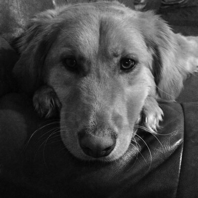 Profile Picture of Jaclyn Phillips (@jaclynrampton) on Twitter