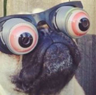 Profile Picture of Neil McCarthy (@Neil-McCarthy) on Facebook