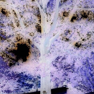 Profile Picture of Nick Alexakis (@bobscooter420) on Twitter