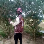 Profile Picture of Tiger Joseph Joseph (@Tiger-Joseph-Joseph) on Facebook