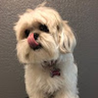 Profile Picture of Raul Lima (@raul-lima-23) on Quora