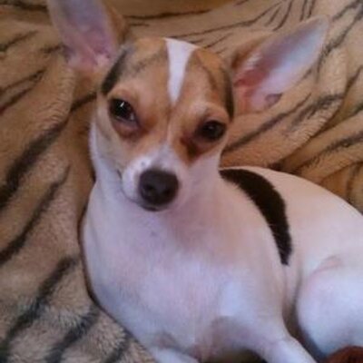 Profile Picture of Lucy Sutter (@LucySutter) on Twitter