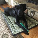 Profile Picture of Amanda McCann (@abtripper) on Instagram