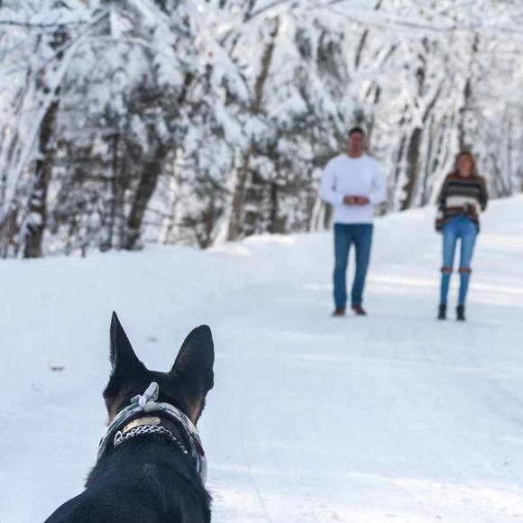 Profile Picture of Joseph William (@jwbevi11) on Poshmark