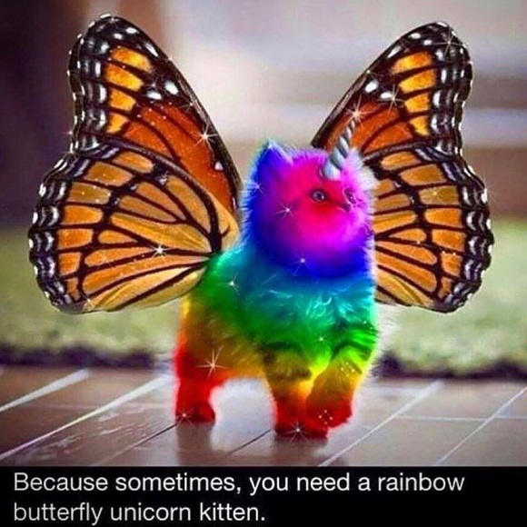 Profile Picture of Rachel Roppolo (@rroppolo) on Poshmark