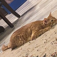 Profile Picture of Timothy Carroll  (@timothy-carroll-119) on Quora