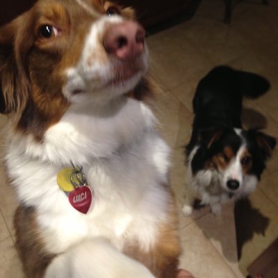 Profile Picture of Steve Minarik (@SteveMinarik) on Twitter