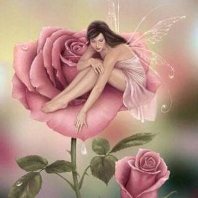 Rosalba Ortiz Silva - Twitter Profile Picture of Rosalba Ortiz Silva (@rosalbaortizsil) on Twitter