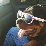 Profile Picture of Michael Delgado (@avatar9347) on Instagram