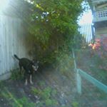 Profile Picture of Bob Reeves (@bob.reeves.9862) on Instagram
