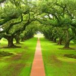 Profile Picture of calvin corley (@calvincorley9609) on Instagram