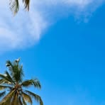 Profile Picture of Paula Hannick (@paula.hannick) on Facebook