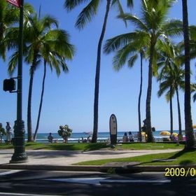 Profile Picture of Brittany Robertson-Fitzgerald (@bnrobe03) on Pinterest