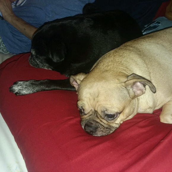 Profile Picture of Mark Hevly (@hevspot) on Poshmark