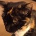 Profile Picture of Mandy Hurdley (@mandy.hurdley.77) on Facebook