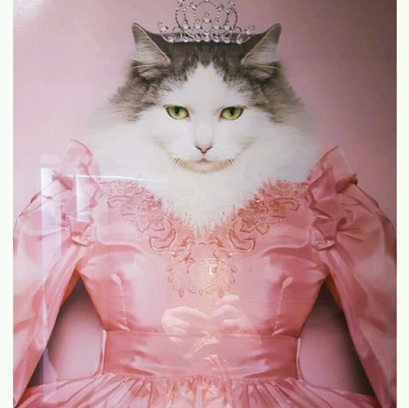 Profile Picture of Victoria Slaymaker (@victoria2cats) on Poshmark