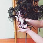 Profile Picture of mikaela marie s. jimenez (@just_my_cup_of_miki) on Instagram