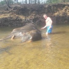 Profile Picture of Brian Woolley (@BrianWo70355773) on Twitter