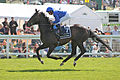 Profile Picture of Jack Hobbs (horse)on Wikipedia