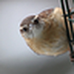 Profile Picture of Noah Gibb (@noah gibb) on Flickr