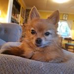 Profile Picture of adam swarens (@adam_grooms138) on Instagram