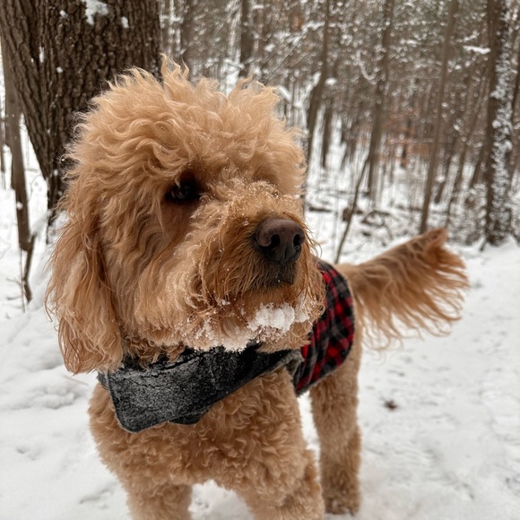 Profile Picture of Jonah Howell (@jonah_howell) on Poshmark