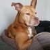 Profile Picture of Colin Kilpatrick (@colin.kilpatrick.1610) on Facebook