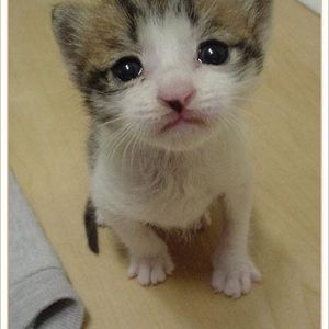 Profile Picture of Aida Rahman (@161007553) on Myspace