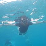 Profile Picture of Sean Reddy (@bornr3ddy) on Instagram