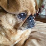 Profile Picture of Carlene Hughes (@hughes.carlene) on Instagram