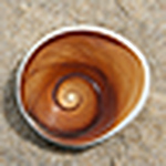 Profile Picture of Dave Kelly Argonautica (@Dave Kelly Argonautica) on Flickr