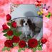 Profile Picture of Chris Nicholls (@chris.nicholls.129357) on Facebook