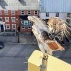 Profile Picture of Ben BlackClouds (@Ben-BlackClouds) on Facebook