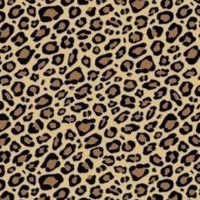 Brianna Silvia - Quora Profile Picture of Brianna Silvia (@brianna-silvia-4) on Quora