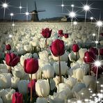 Profile Picture of Phyllis Harber (@phyllis.harber.332) on Facebook