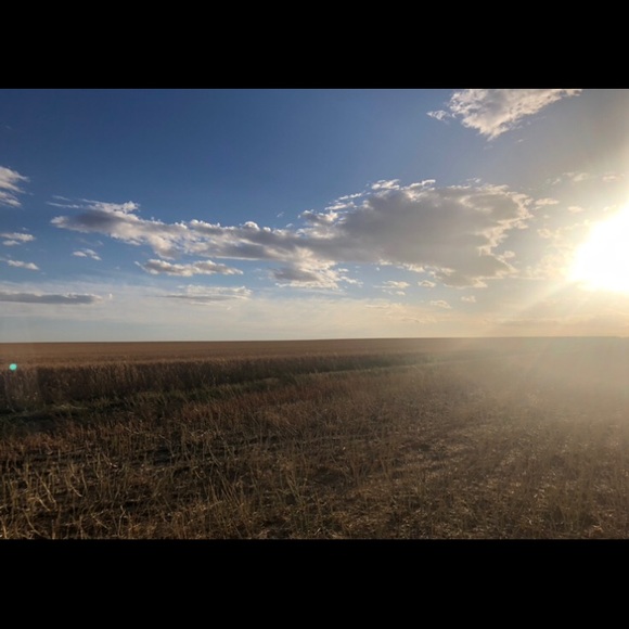 Profile Picture of Lacey Sellinger (@l_acey33) on Poshmark