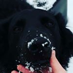 Profile Picture of Jimmy/James (@mourningautojimmy) on Instagram