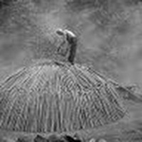 Profile Picture of David Furfaro (@david-furfaro-2) on Quora