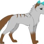 Evelyne mitchell - Instagram Profile Picture of Evelyne mitchell (@kawaiiwolfloner231) on Instagram