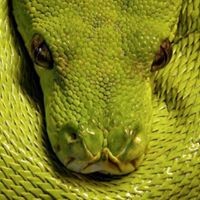 Profile Picture of Eric Ridgeway (@eric-ridgeway-2) on Quora
