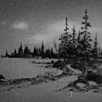 Profile Picture of Michael Melnick (@Melnick666) on Twitter