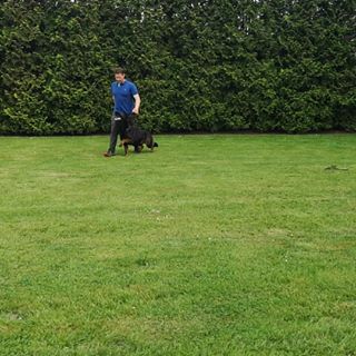 Profile Picture of Dennis Rohde (@dennis.rohde.92) on Facebook