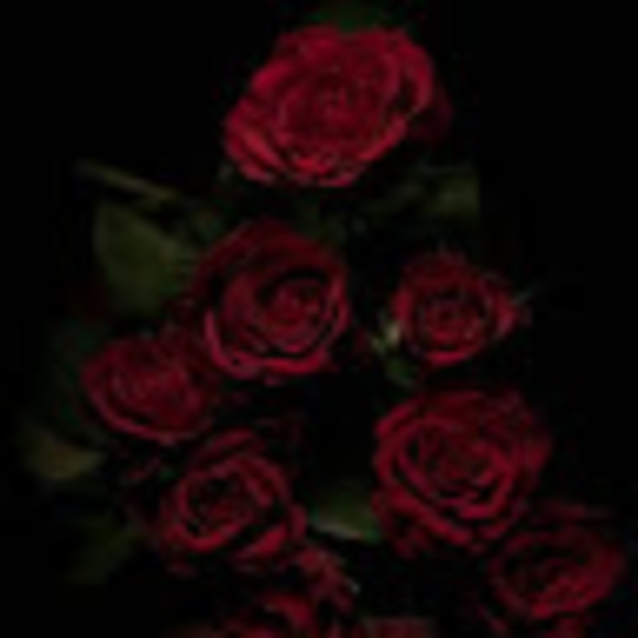 Profile Picture of Madison Schearer (@schearer05) on Poshmark