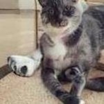 Profile Picture of Mitzi Nicholson (@mitzinicholson9) on Instagram