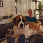 Profile Picture of Andrew Snowden (@andrew.snowden.73) on Facebook